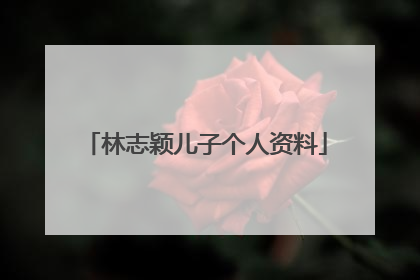 林志颖儿子个人资料