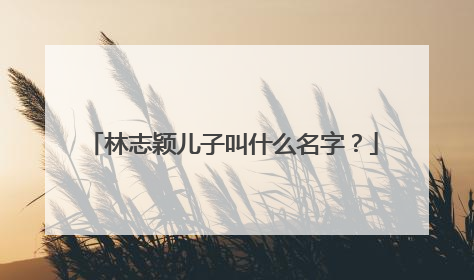 林志颖儿子叫什么名字？