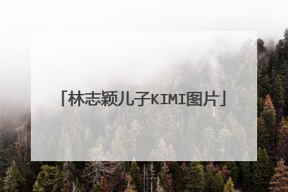 林志颖儿子KIMI图片