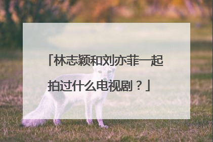 林志颖和刘亦菲一起拍过什么电视剧？