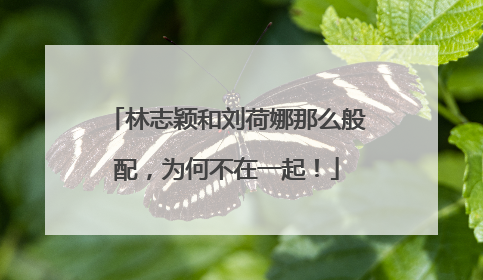 林志颖和刘荷娜那么般配，为何不在一起！