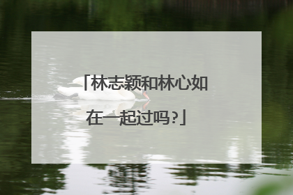 林志颖和林心如在一起过吗?