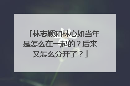 林志颖和林心如当年是怎么在一起的?后来又怎么分开了?
