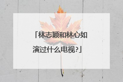 林志颖和林心如演过什么电视?