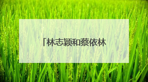林志颖和蔡依林在偷偷爱上你里客串什么角色?