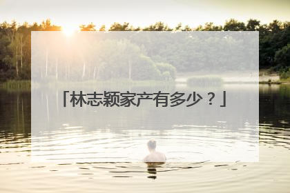 林志颖家产有多少?