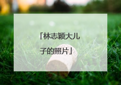 林志颖大儿子的照片