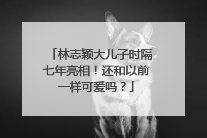 林志颖大儿子时隔七年亮相！还和以前一样可爱吗？