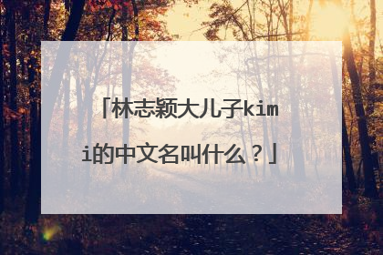 林志颖大儿子kimi的中文名叫什么？