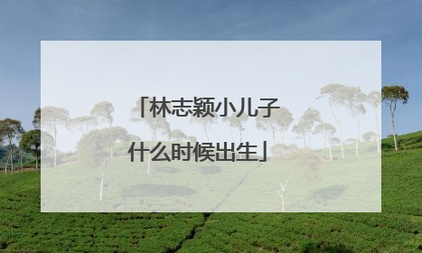 林志颖小儿子什么时候出生