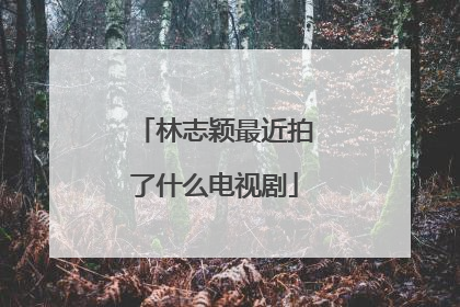 林志颖最近拍了什么电视剧
