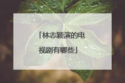 林志颖演的电视剧有哪些