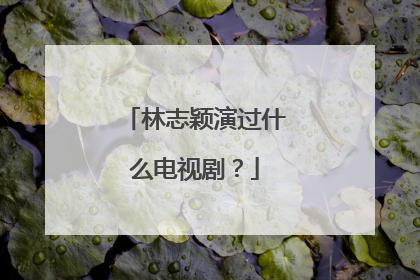 林志颖演过什么电视剧？