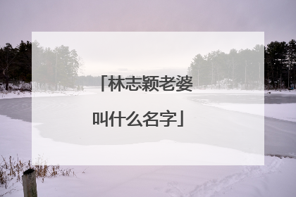 林志颖老婆叫什么名字