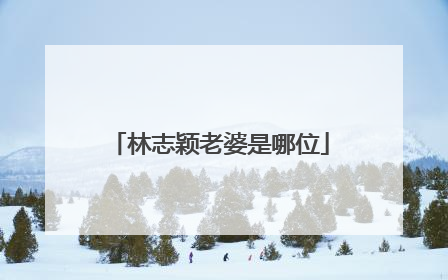 林志颖老婆是哪位