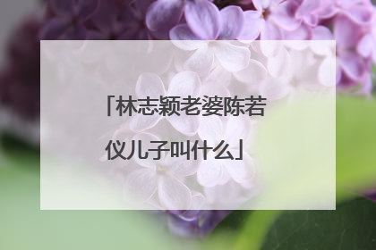 林志颖老婆陈若仪儿子叫什么