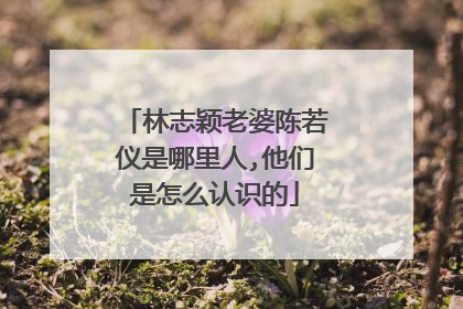 林志颖老婆陈若仪是哪里人,他们是怎么认识的