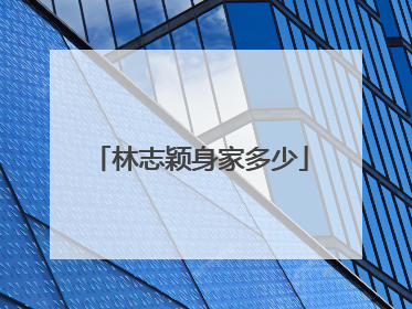 林志颖身家多少