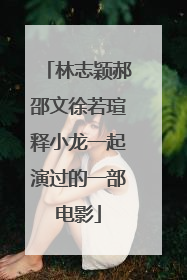 林志颖郝邵文徐若瑄释小龙一起演过的一部电影