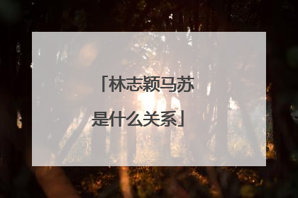 林志颖马苏是什么关系