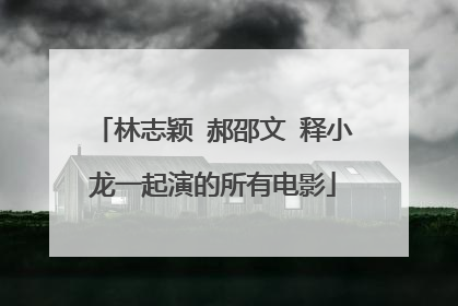 林志颖 郝邵文 释小龙一起演的所有电影