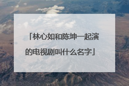 林心如和陈坤一起演的电视剧叫什么名字