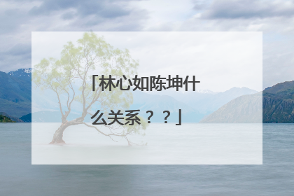 林心如陈坤什么关系？？