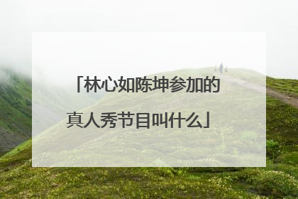 林心如陈坤参加的真人秀节目叫什么