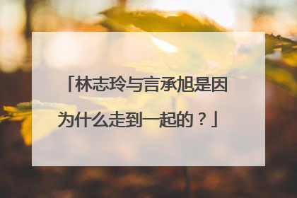 林志玲与言承旭是因为什么走到一起的？