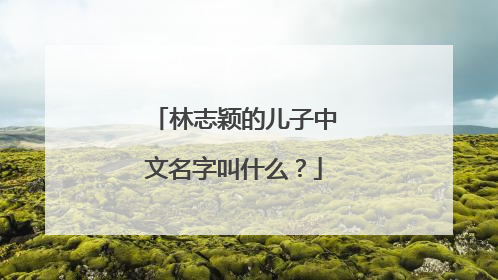 林志颖的儿子中文名字叫什么？