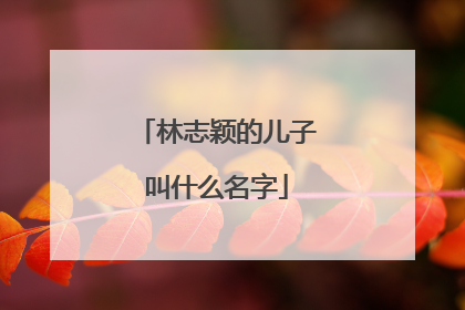 林志颖的儿子叫什么名字