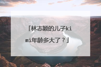 林志颖的儿子kimi年龄多大了？