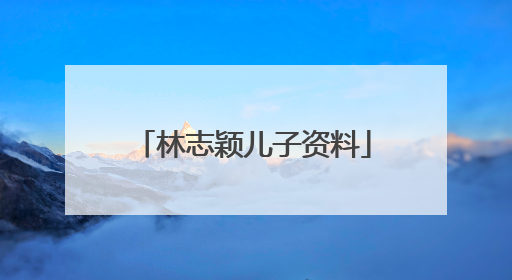 林志颖儿子资料