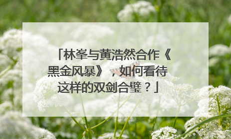 林峯与黄浩然合作《黑金风暴》，如何看待这样的双剑合璧？