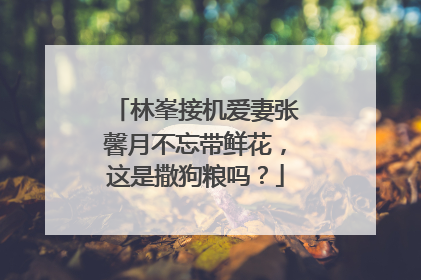 林峯接机爱妻张馨月不忘带鲜花，这是撒狗粮吗？