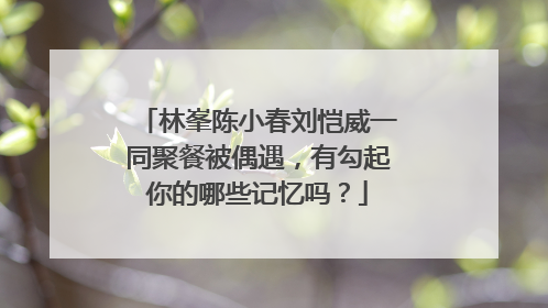 林峯陈小春刘恺威一同聚餐被偶遇,有勾起你的哪些记忆吗?