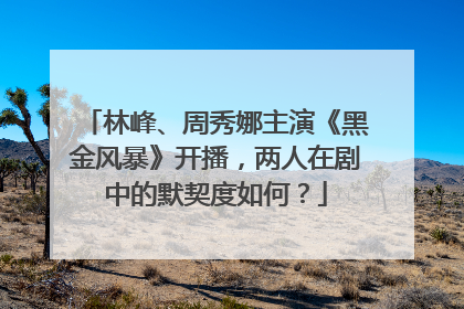 林峰、周秀娜主演《黑金风暴》开播，两人在剧中的默契度如何？