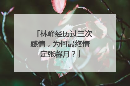 林峰经历过三次感情,为何最终情定张馨月?
