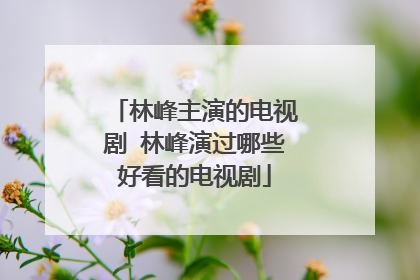 林峰主演的电视剧 林峰演过哪些好看的电视剧