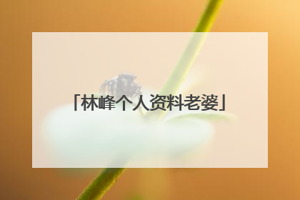 林峰个人资料老婆