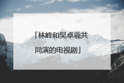 林峰和吴卓羲共同演的电视剧