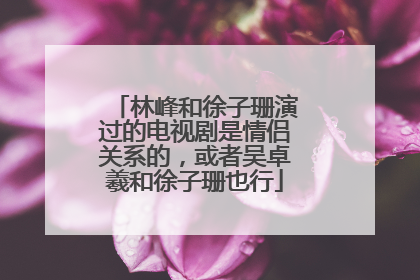 林峰和徐子珊演过的电视剧是情侣关系的，或者吴卓羲和徐子珊也行