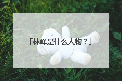 林峰是什么人物？