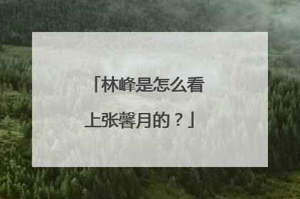 林峰是怎么看上张馨月的？