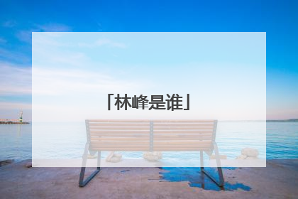 林峰是谁