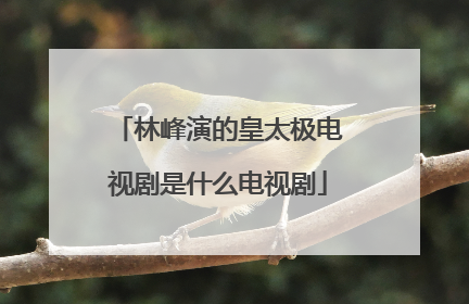 林峰演的皇太极电视剧是什么电视剧