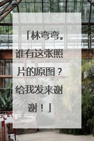林弯弯。谁有这张照片的原图？给我发来谢谢！