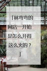 林弯弯的网店一开始是怎么开得这么火的？
