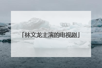 林文龙主演的电视剧