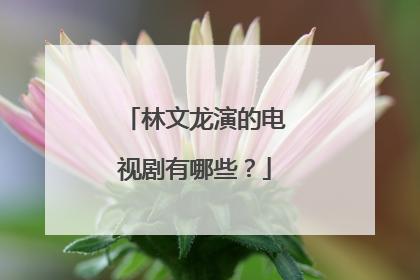 林文龙演的电视剧有哪些？